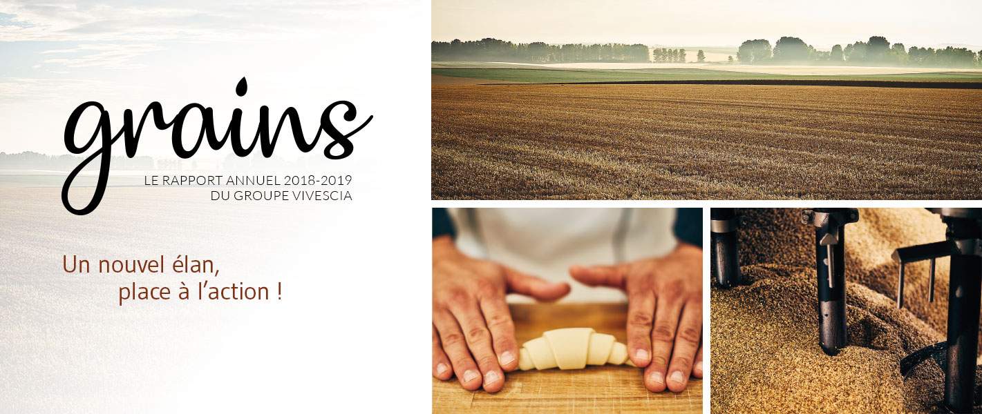 Grains - rapport annuel VIVESCIA 2018-2019